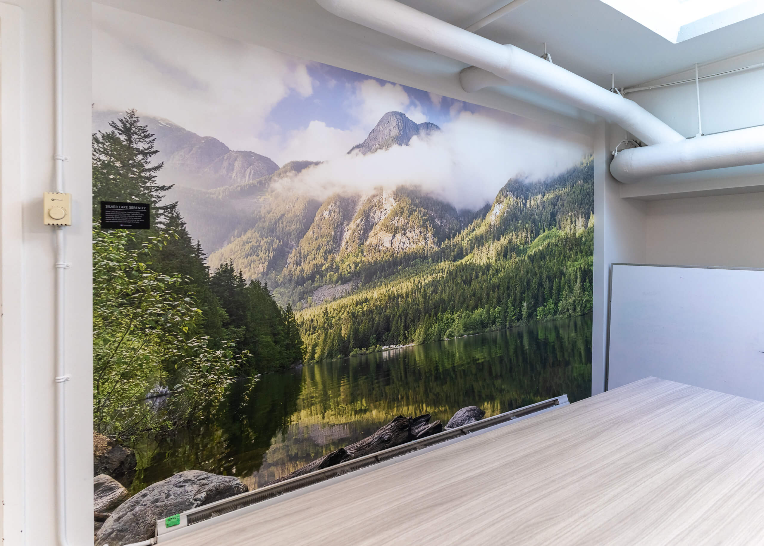 VCC-education-mural-large-format-artwork-4